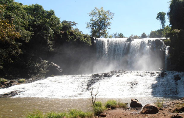 Sea of ​​wood Samuth Cheu