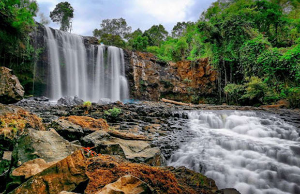 Sea of ​​wood Samuth Cheu