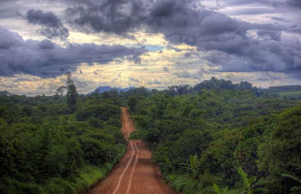 The large field landscape