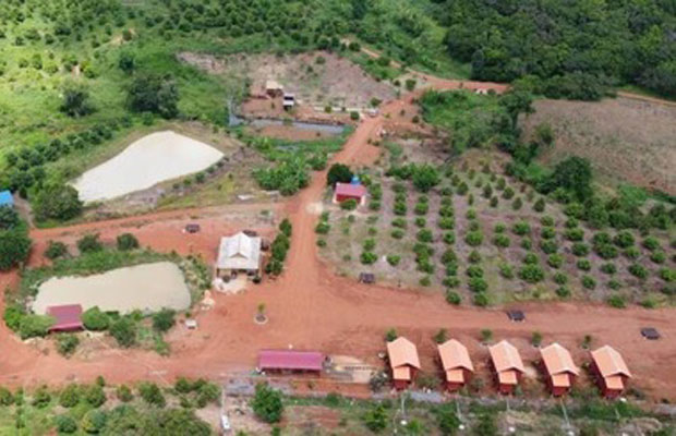 The large field landscape