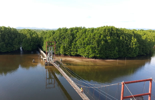 Peam Krasop Mangrove Forest