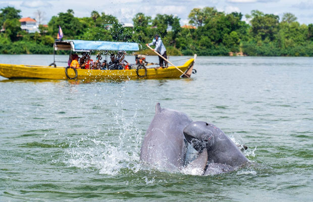 Kampi Dolphin Canyon