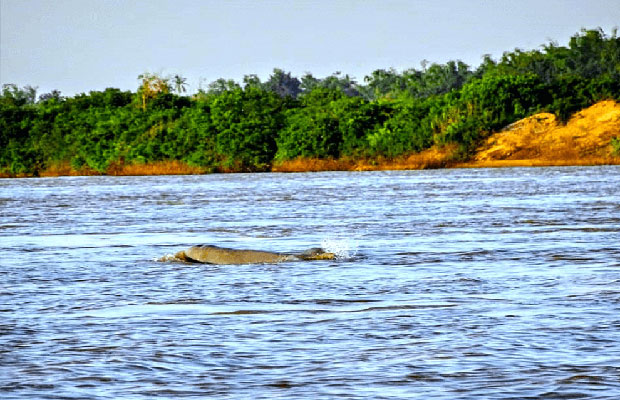 Kampi Dolphin Canyon