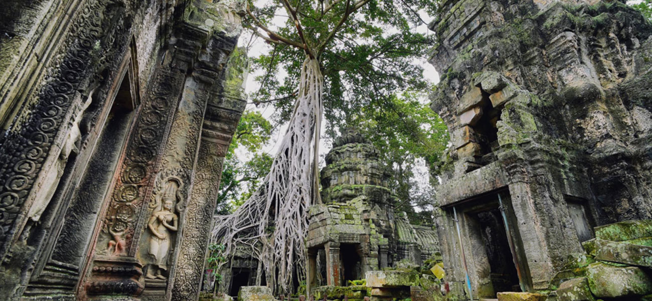 Explore with our family